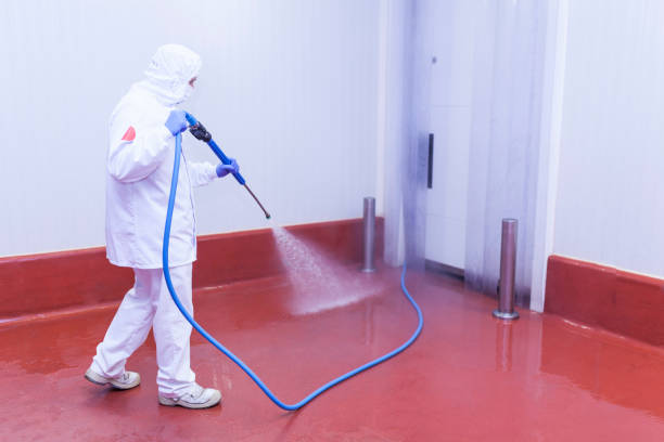 Professional Pressure Washing Services in Council Bluffs, IA